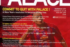 2008_01_01_Crystal_Palace