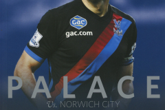 2014_01_01_Crystal_Palace