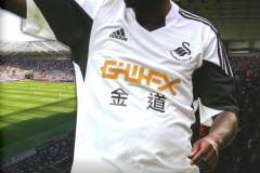 2014_03_29_Swansea_City