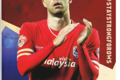 2014_09_13_Cardiff_City