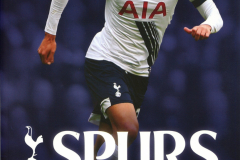 2015_12_26_Tottenham_Hotspur