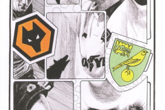 2018_02_21_Wolverhampton_Wanderers
