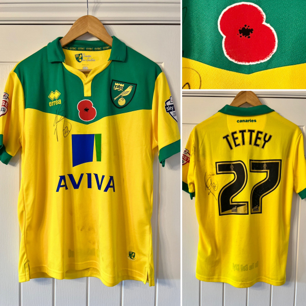 2014_15_Tettey