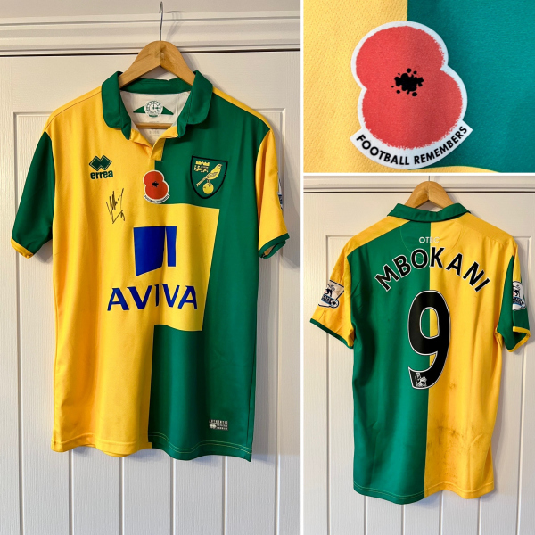 2015_16_Mbokani
